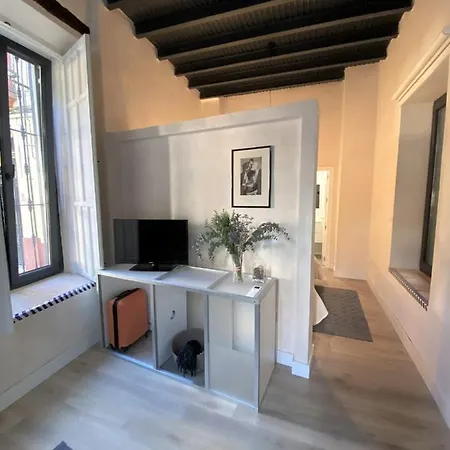 Casa Casco Historico * Sevilla